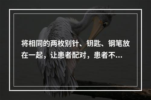 将相同的两枚别针、钥匙、钢笔放在一起，让患者配对，患者不能完