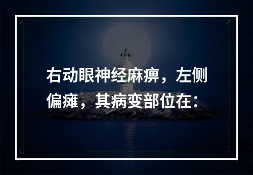 右动眼神经麻痹，左侧偏瘫，其病变部位在：