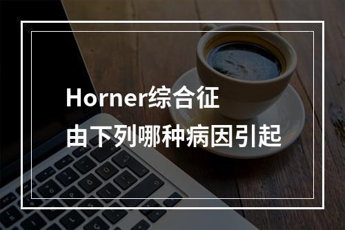 Horner综合征由下列哪种病因引起