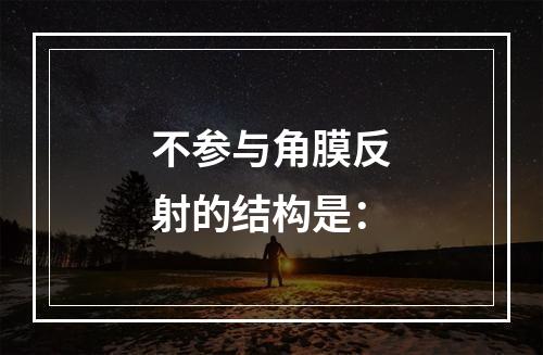 不参与角膜反射的结构是：