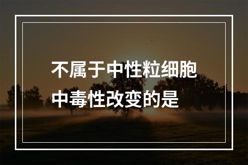 不属于中性粒细胞中毒性改变的是