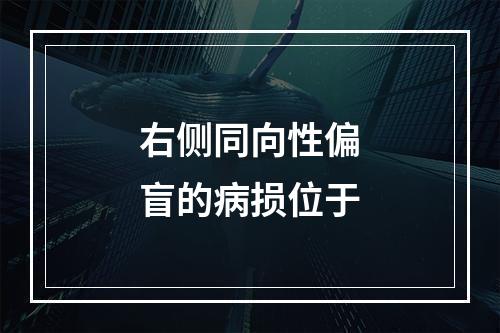 右侧同向性偏盲的病损位于