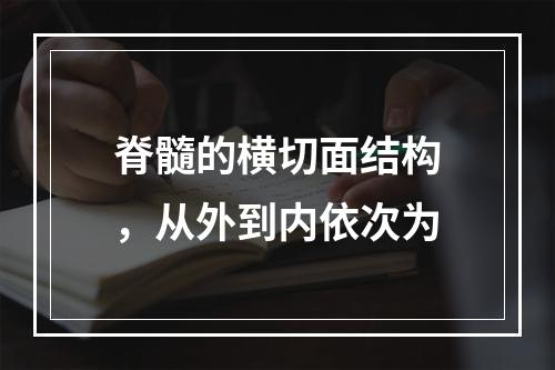 脊髓的横切面结构，从外到内依次为