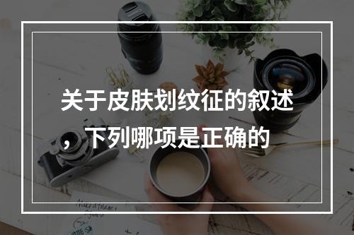 关于皮肤划纹征的叙述，下列哪项是正确的