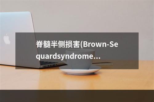 脊髓半侧损害(Brown-Sequardsyndrome)所