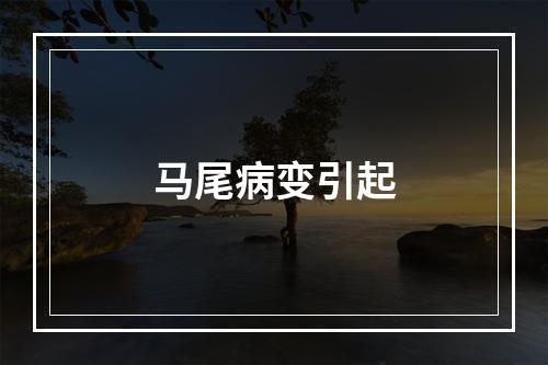 马尾病变引起