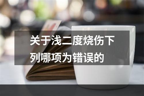 关于浅二度烧伤下列哪项为错误的