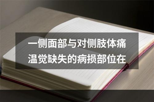 一侧面部与对侧肢体痛温觉缺失的病损部位在