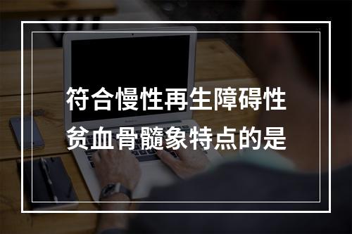 符合慢性再生障碍性贫血骨髓象特点的是