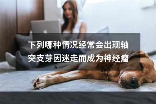 下列哪种情况经常会出现轴突支芽因迷走而成为神经瘤