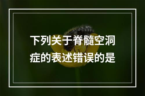 下列关于脊髓空洞症的表述错误的是