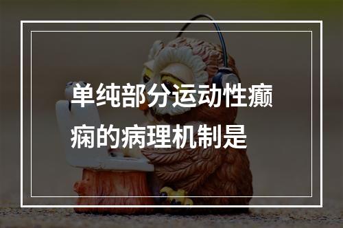 单纯部分运动性癫痫的病理机制是