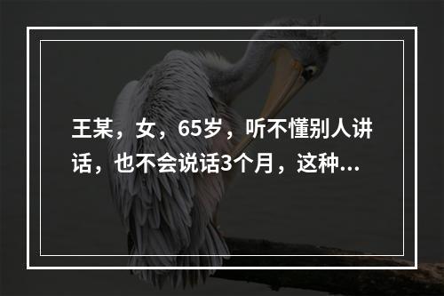 王某，女，65岁，听不懂别人讲话，也不会说话3个月，这种语言