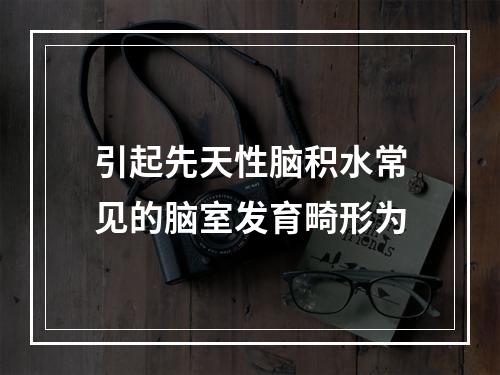 引起先天性脑积水常见的脑室发育畸形为