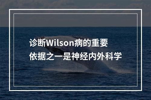 诊断Wilson病的重要依据之一是神经内外科学