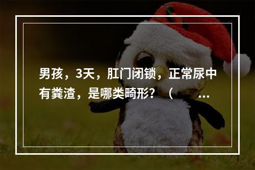 男孩，3天，肛门闭锁，正常尿中有粪渣，是哪类畸形？（　　）