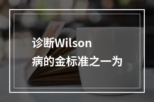 诊断Wilson病的金标准之一为