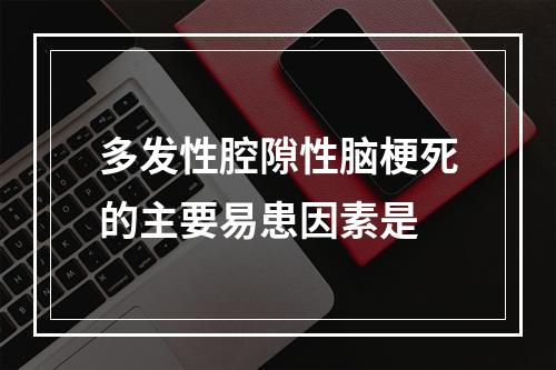 多发性腔隙性脑梗死的主要易患因素是