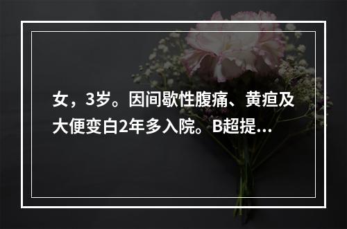 女，3岁。因间歇性腹痛、黄疸及大便变白2年多入院。B超提示肝