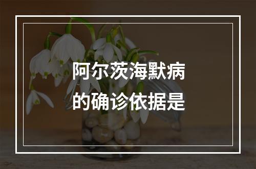 阿尔茨海默病的确诊依据是