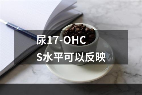 尿17-OHCS水平可以反映