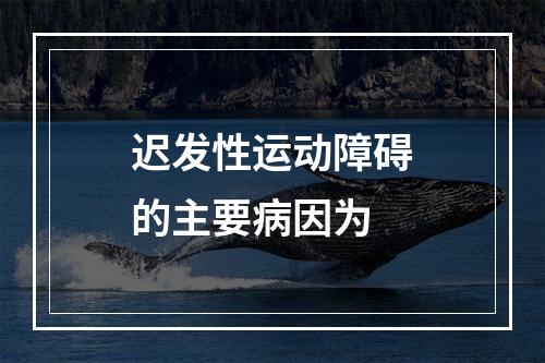 迟发性运动障碍的主要病因为