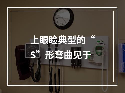 上眼睑典型的“S”形弯曲见于