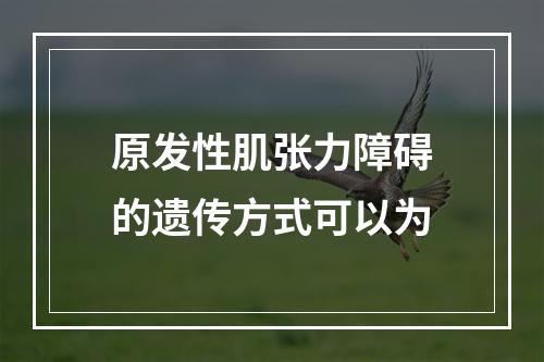 原发性肌张力障碍的遗传方式可以为