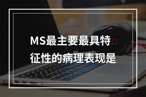 MS最主要最具特征性的病理表现是