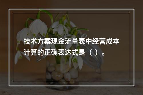 技术方案现金流量表中经营成本计算的正确表达式是（  ）。