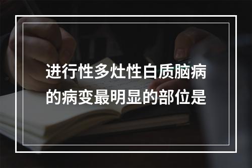 进行性多灶性白质脑病的病变最明显的部位是