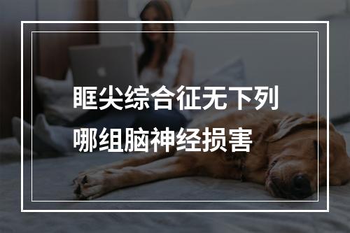 眶尖综合征无下列哪组脑神经损害