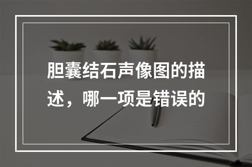 胆囊结石声像图的描述，哪一项是错误的