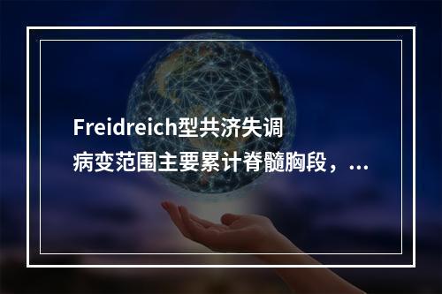 Freidreich型共济失调病变范围主要累计脊髓胸段，首发