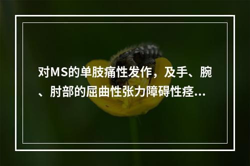 对MS的单肢痛性发作，及手、腕、肘部的屈曲性张力障碍性痉挛最