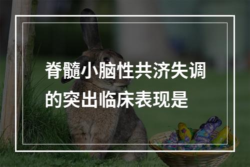 脊髓小脑性共济失调的突出临床表现是