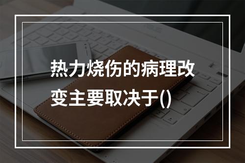 热力烧伤的病理改变主要取决于()