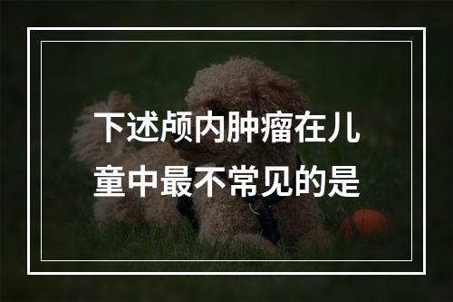 下述颅内肿瘤在儿童中最不常见的是