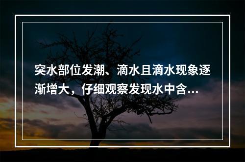 突水部位发潮、滴水且滴水现象逐渐增大，仔细观察发现水中含有少