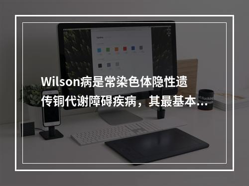 Wilson病是常染色体隐性遗传铜代谢障碍疾病，其最基本的遗