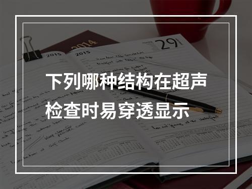 下列哪种结构在超声检查时易穿透显示