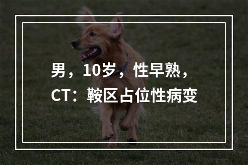 男，10岁，性早熟，CT：鞍区占位性病变