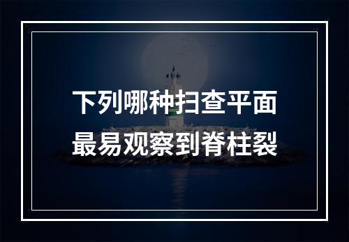 下列哪种扫查平面最易观察到脊柱裂