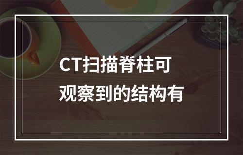 CT扫描脊柱可观察到的结构有