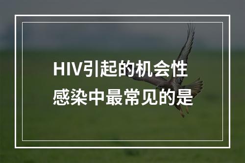 HIV引起的机会性感染中最常见的是