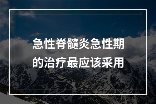 急性脊髓炎急性期的治疗最应该采用