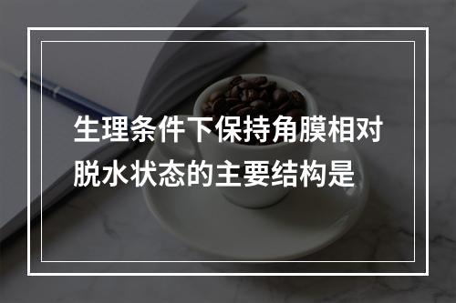 生理条件下保持角膜相对脱水状态的主要结构是