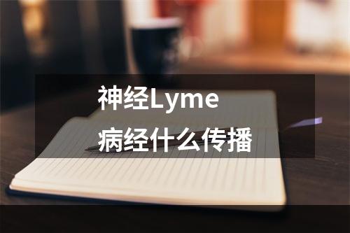 神经Lyme病经什么传播