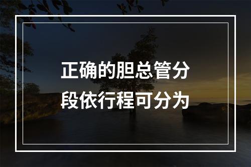 正确的胆总管分段依行程可分为