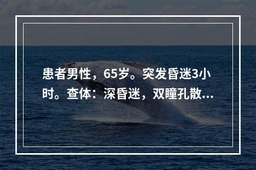 患者男性，65岁。突发昏迷3小时。查体：深昏迷，双瞳孔散大，